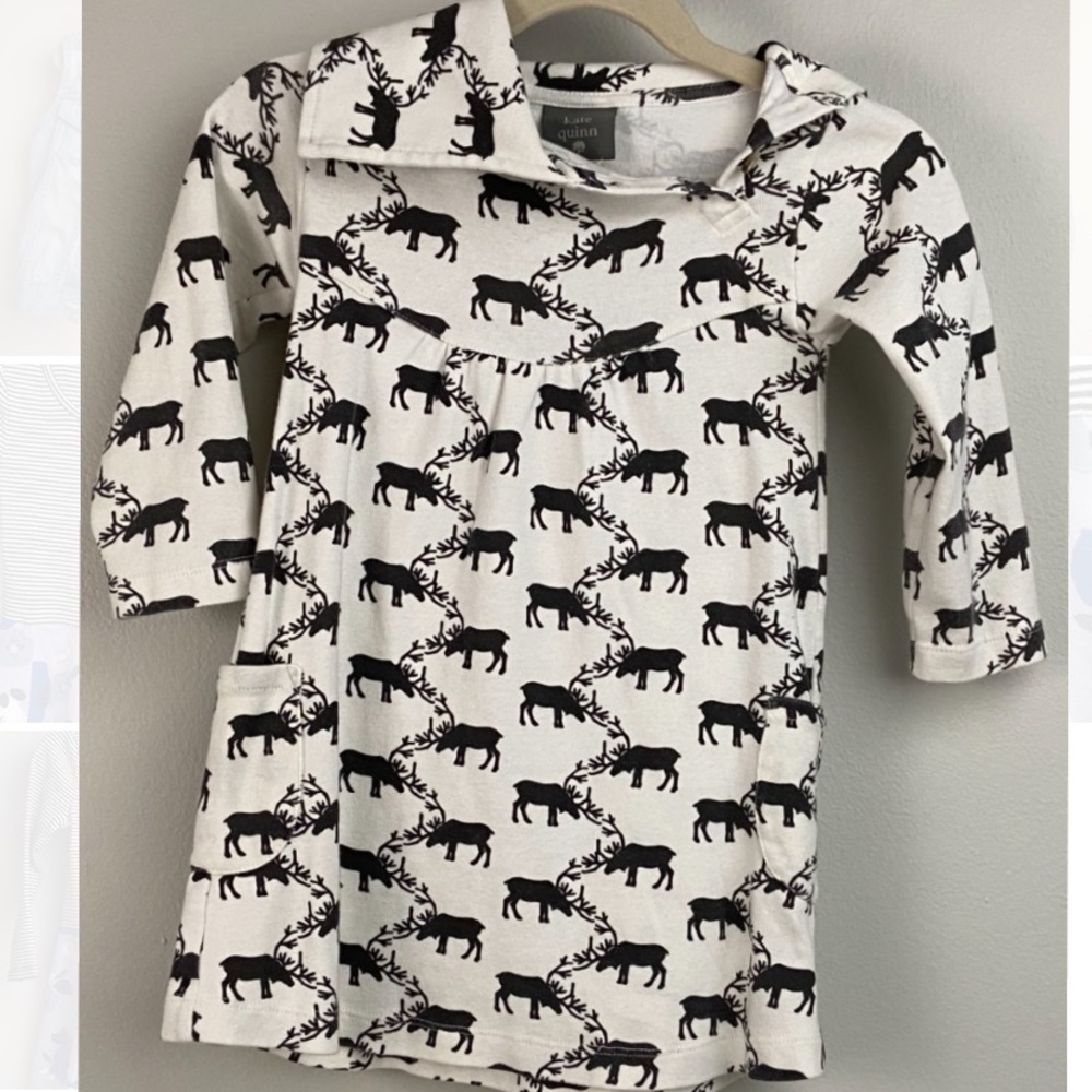 Kate Quinn Tunic Dress